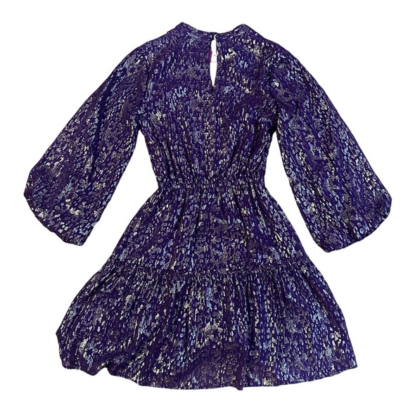 Lilly Pulitzer NWT Joella Silk Dress Purple Wildside Metallic Dress Size 0 - Picture 5 of 5